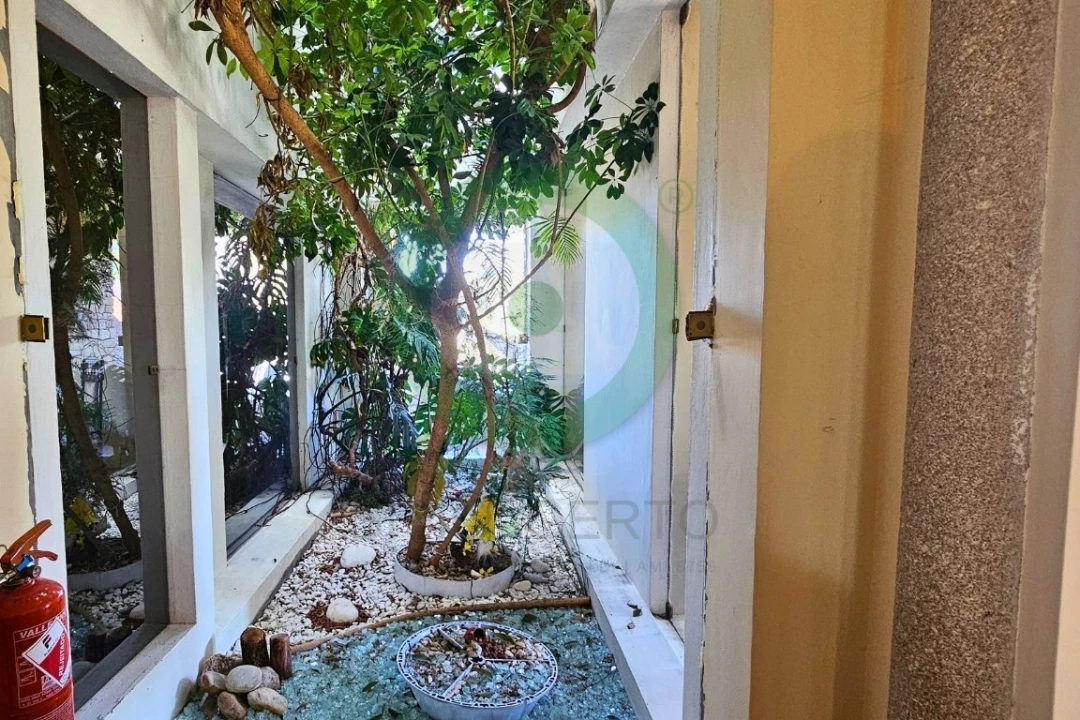 Quinta T0 para Venda em Santa Cruz/Trindade e Sanjurge Foto 14