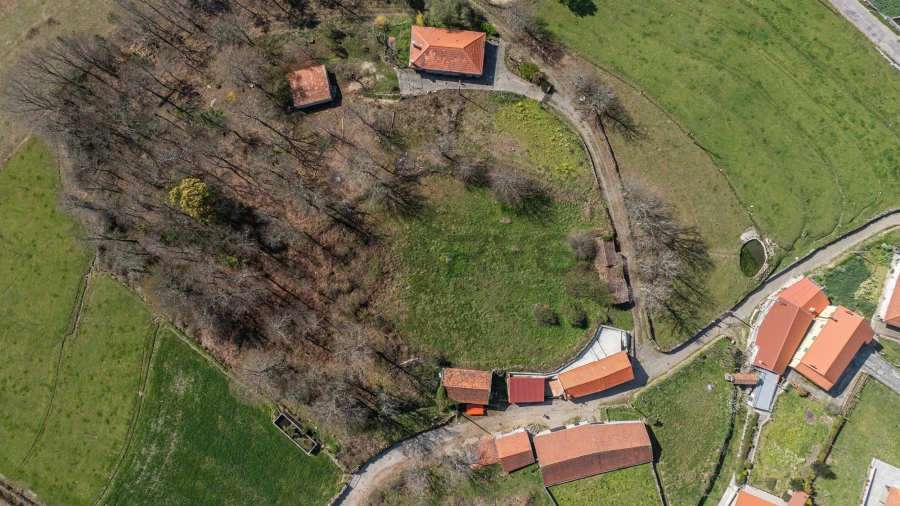 Terreno para Venda em Reigoso