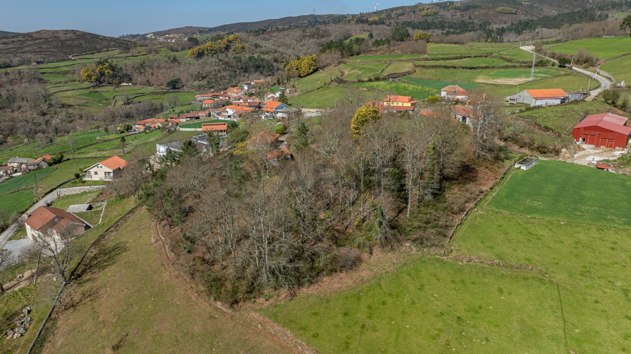 Terreno para Venda em Reigoso Foto 13