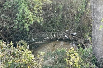 Terreno para Venda em Fundão, Valverde, Donas, A. Joanes, A. Nova Cabo