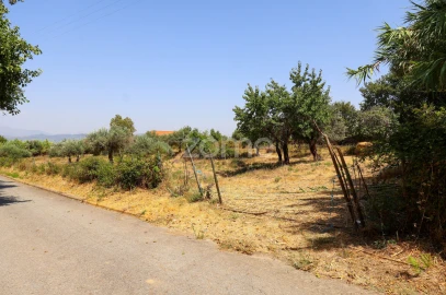 Terreno para Venda em Fundão, Valverde, Donas, A. Joanes, A. Nova Cabo