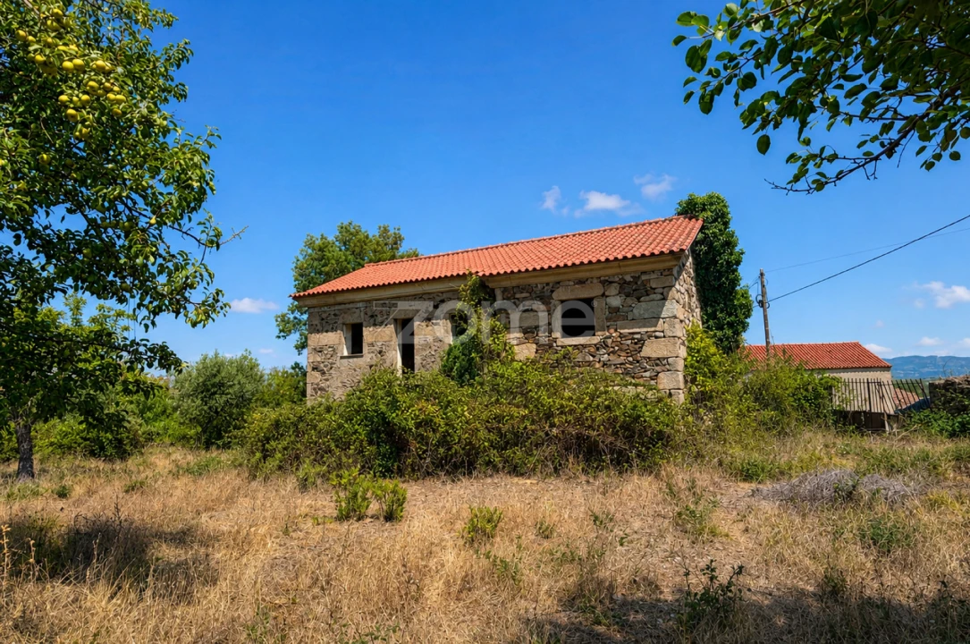 Terreno para Venda em Fundão, Valverde, Donas, A. Joanes, A. Nova Cabo Foto 7