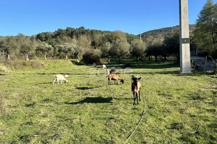 Terreno para Venda em Fundão, Valverde, Donas, A. Joanes, A. Nova Cabo Foto 9