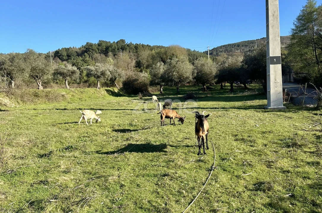 Terreno para Venda em Fundão, Valverde, Donas, A. Joanes, A. Nova Cabo Foto 9