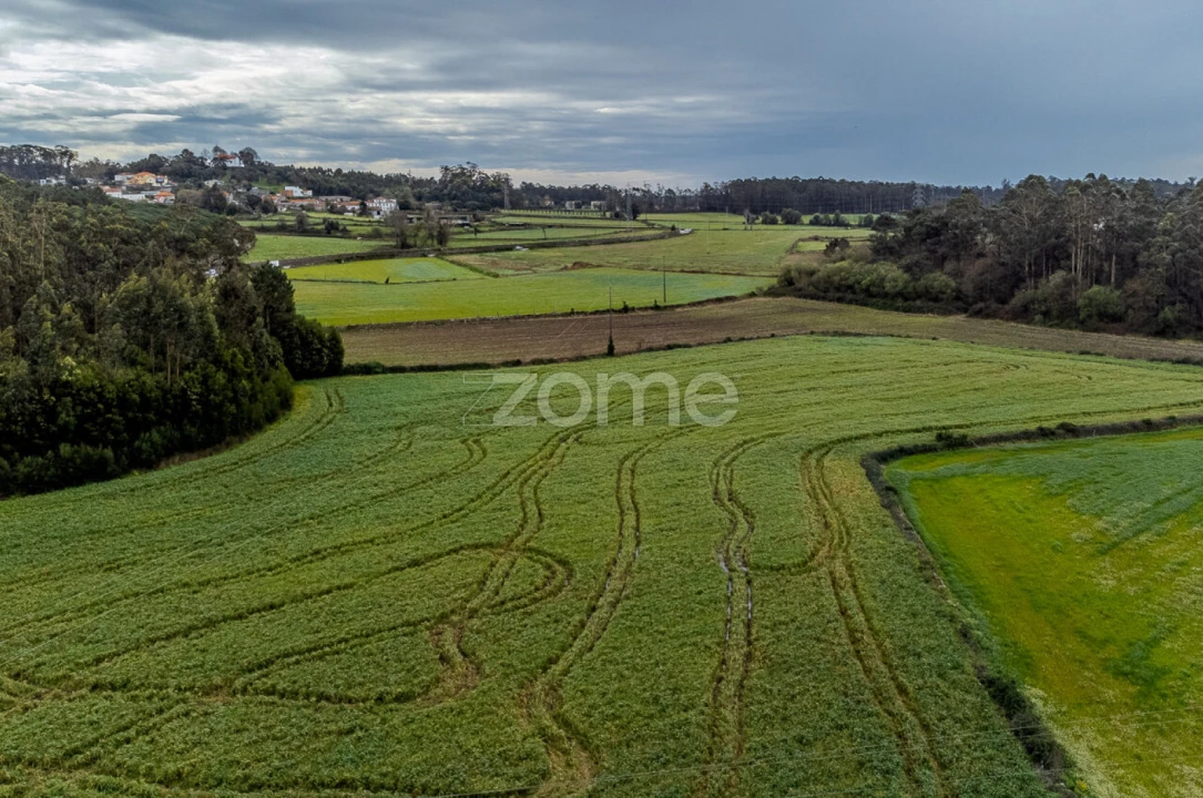 Moradia T2 para Venda em Fornelo e Vairão Foto 32