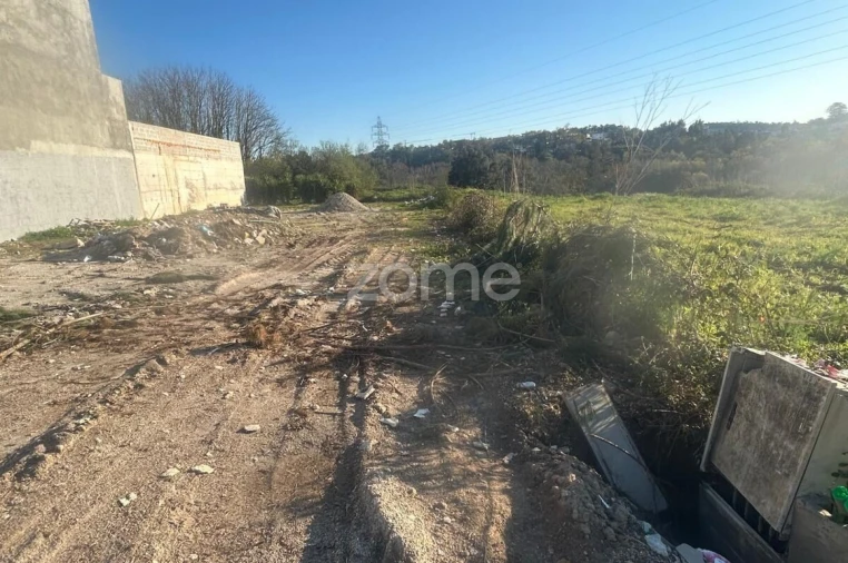 Terreno para Venda em Ferreiros e Gondizalves Foto 7