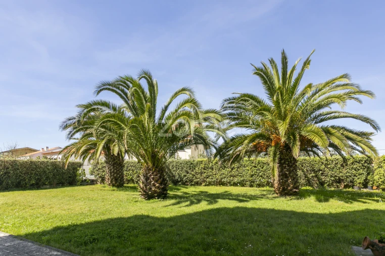 Apartamento T1 para Venda em Madalena Foto 28