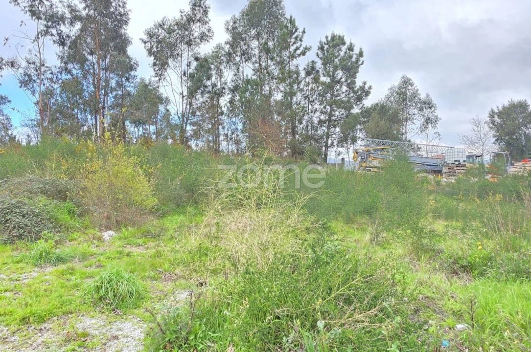 Terreno para Venda em Vila Verde e Barbudo Foto 10