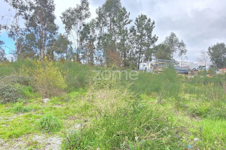 Terreno para Venda em Vila Verde e Barbudo Foto 10