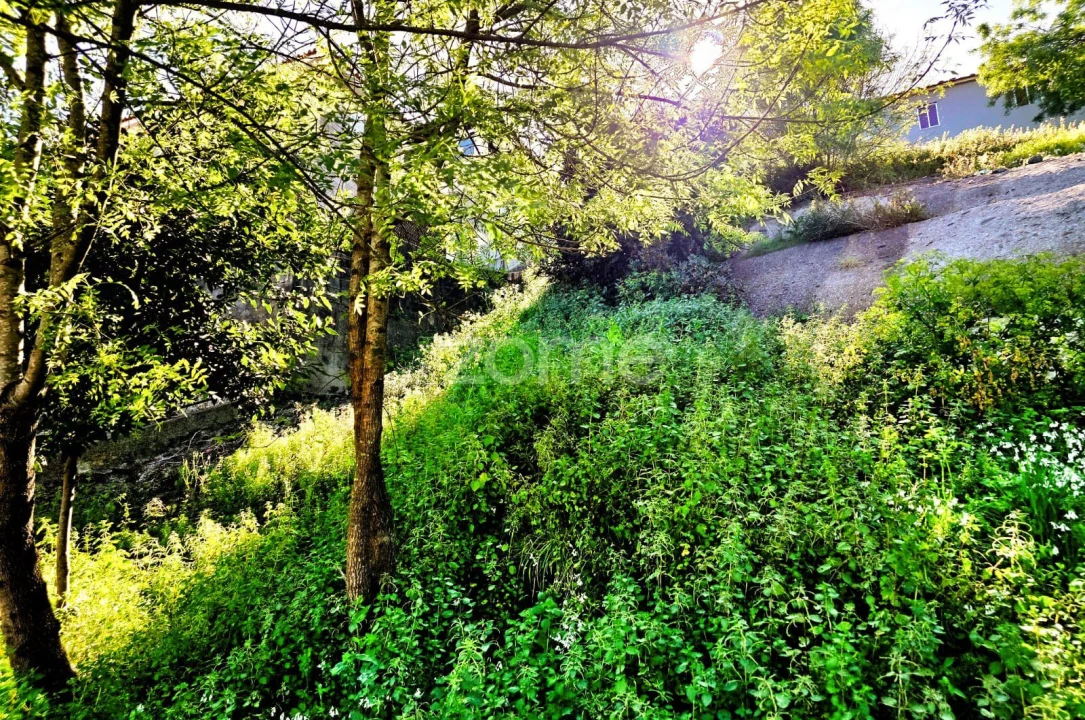 Terreno para Venda em Santo Tirso, Couto (Santa Cristina e São Miguel) e Burgães Foto 13