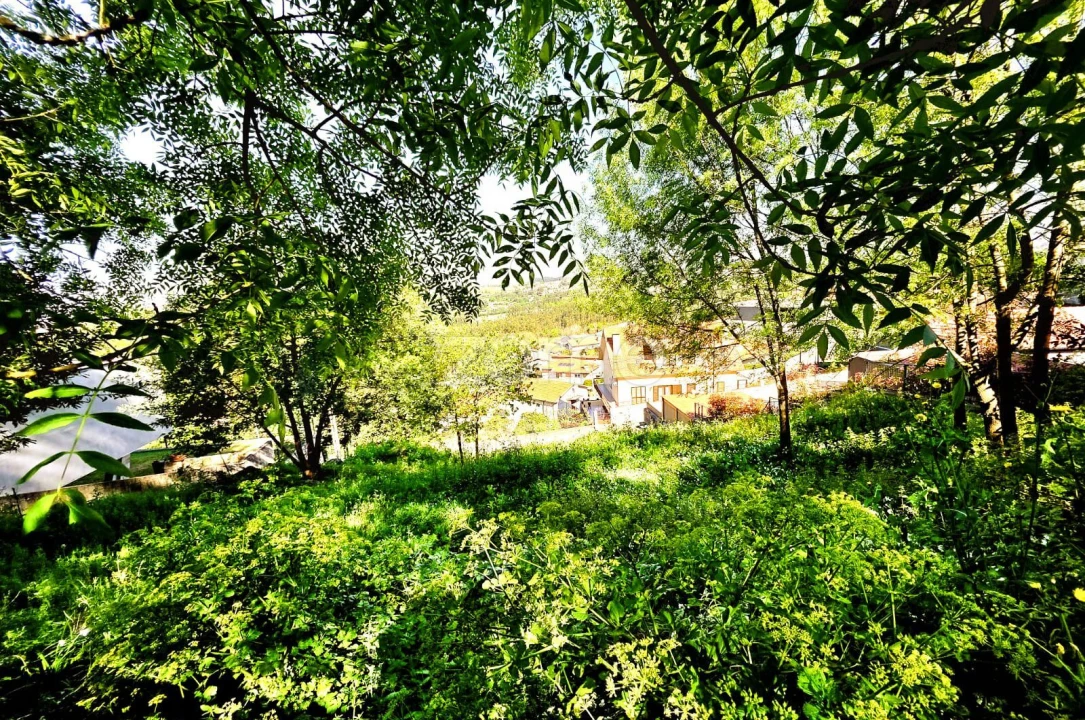 Terreno para Venda em Santo Tirso, Couto (Santa Cristina e São Miguel) e Burgães Foto 16