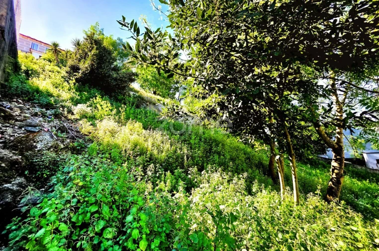 Terreno para Venda em Santo Tirso, Couto (Santa Cristina e São Miguel) e Burgães Foto 8