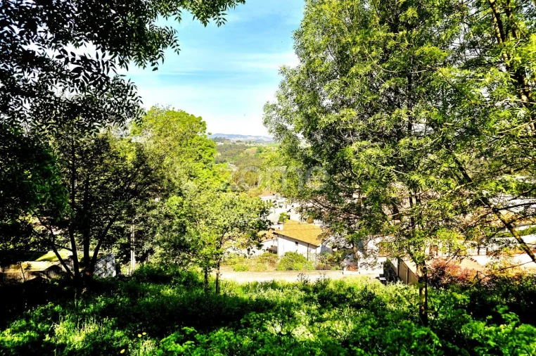 Terreno para Venda em Santo Tirso, Couto (Santa Cristina e São Miguel) e Burgães Foto 25