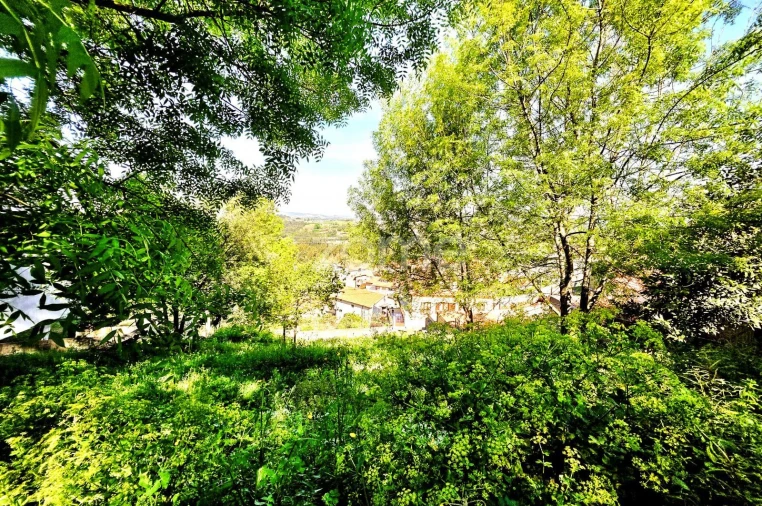 Terreno para Venda em Santo Tirso, Couto (Santa Cristina e São Miguel) e Burgães Foto 30