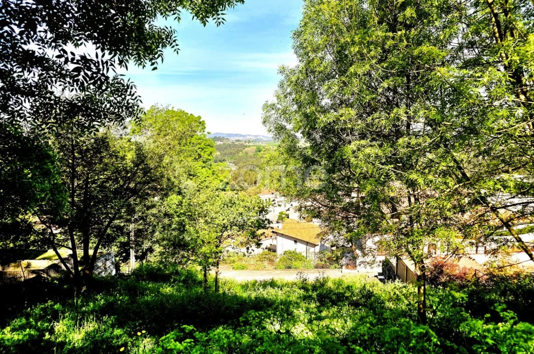 Terreno para Venda em Santo Tirso, Couto (Santa Cristina e São Miguel) e Burgães Foto 25