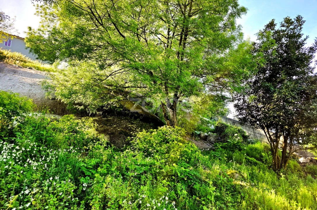Terreno para Venda em Santo Tirso, Couto (Santa Cristina e São Miguel) e Burgães Foto 29