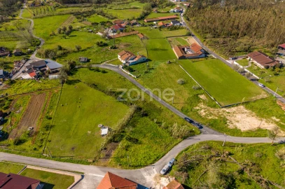 Terreno para Venda em Souto da Carpalhosa e Ortigosa