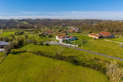 Terreno para Venda em Souto da Carpalhosa e Ortigosa