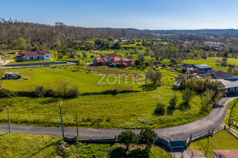 Terreno para Venda em Souto da Carpalhosa e Ortigosa Foto 5