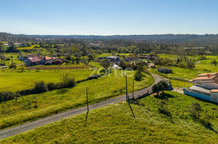 Terreno para Venda em Souto da Carpalhosa e Ortigosa Foto 4