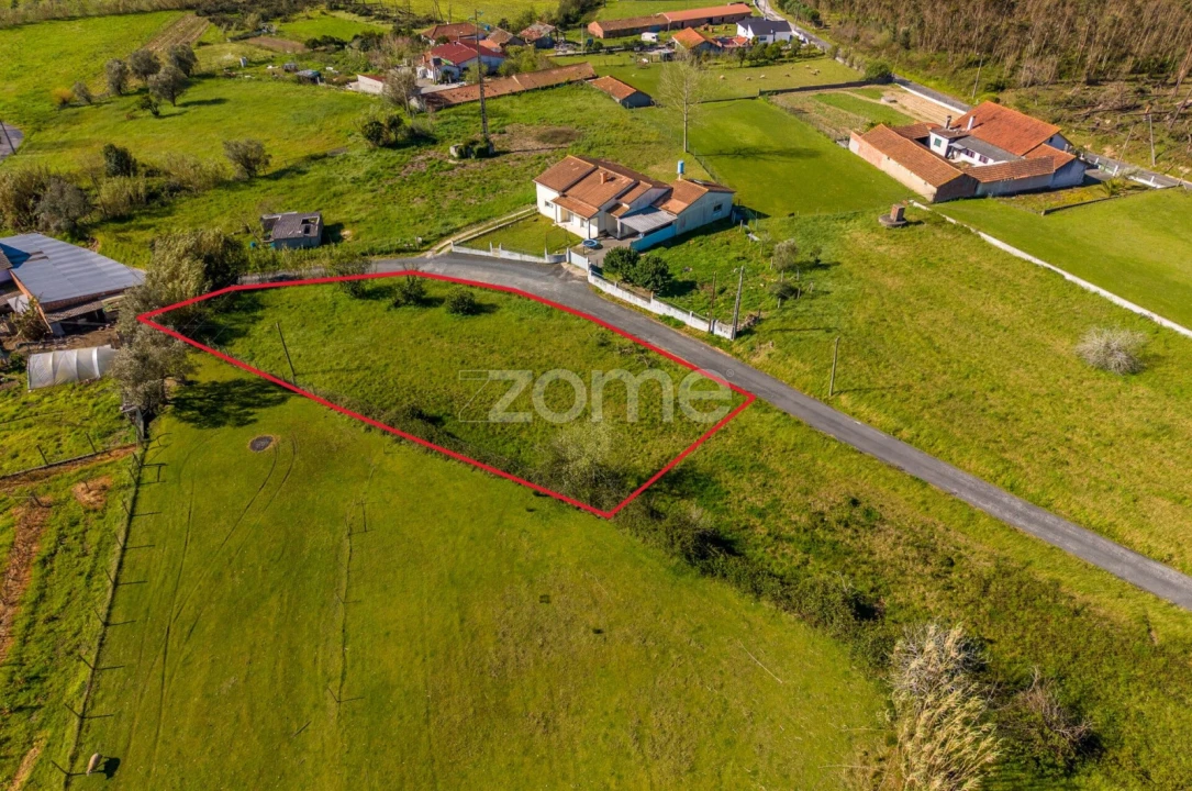 Terreno para Venda em Souto da Carpalhosa e Ortigosa Foto 9