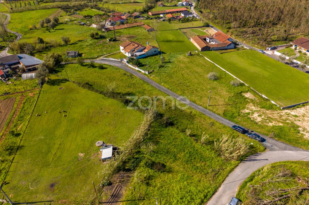 Terreno para Venda em Souto da Carpalhosa e Ortigosa Foto 16
