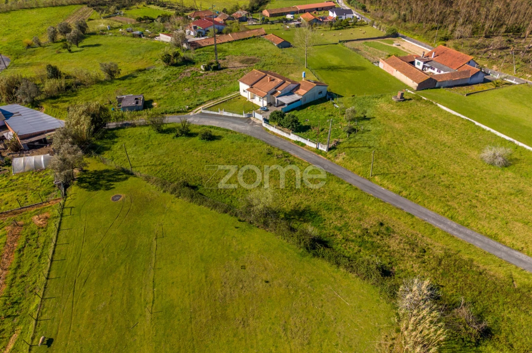 Terreno para Venda em Souto da Carpalhosa e Ortigosa Foto 1
