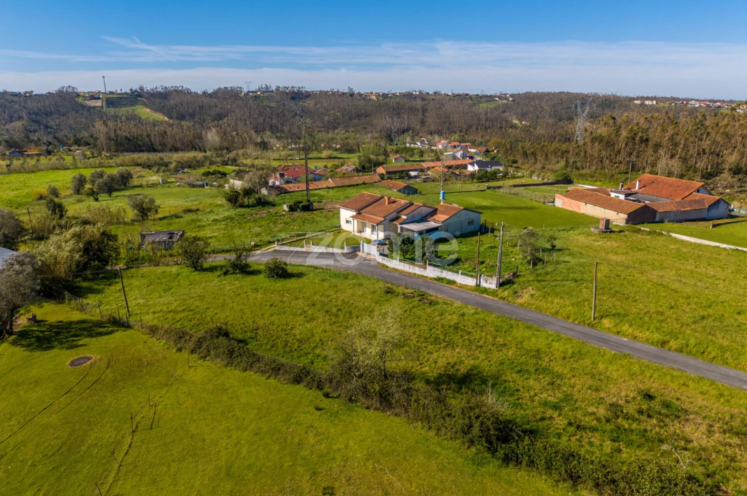 Terreno para Venda em Souto da Carpalhosa e Ortigosa Foto 11