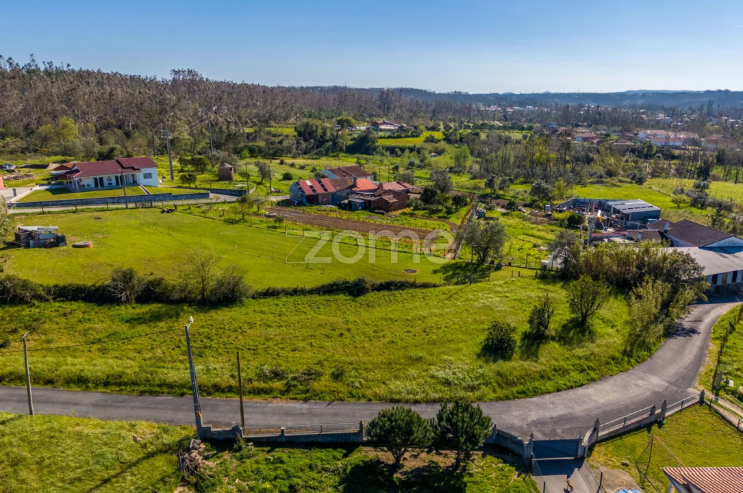 Terreno para Venda em Souto da Carpalhosa e Ortigosa Foto 5