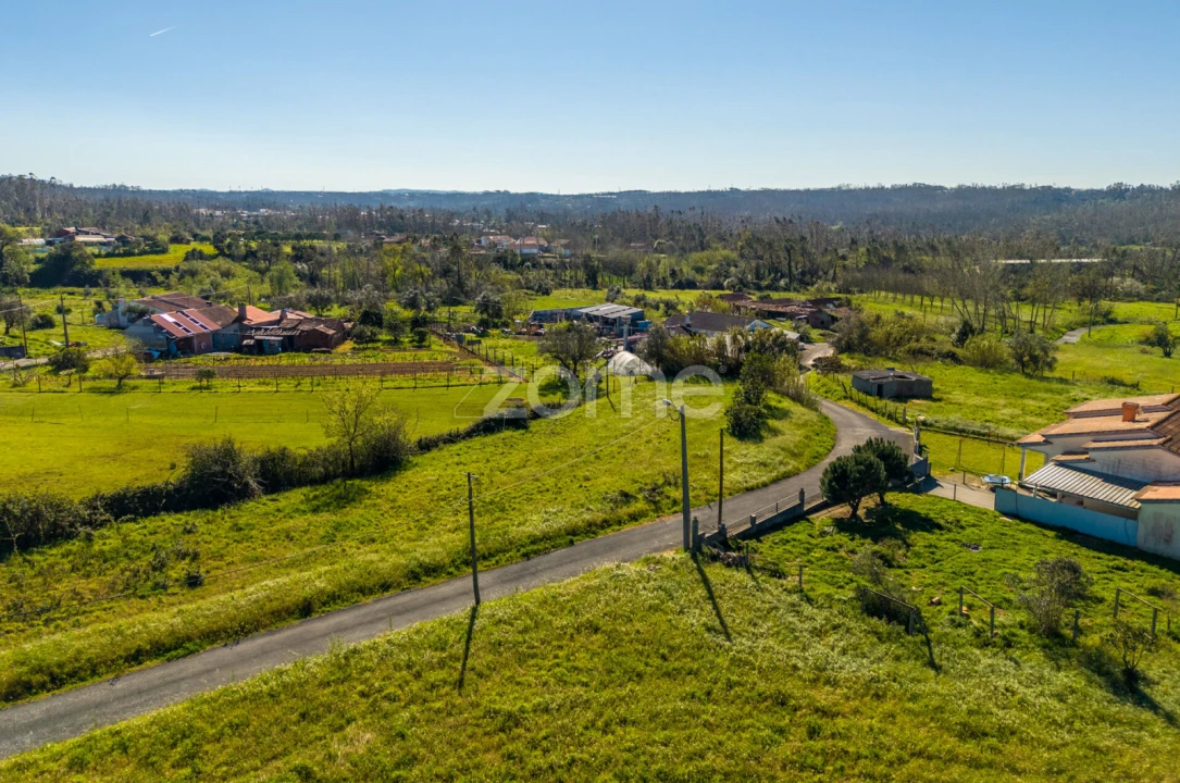 Terreno para Venda em Souto da Carpalhosa e Ortigosa Foto 4