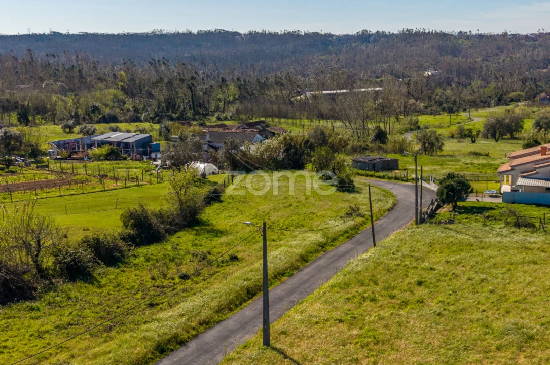 Terreno para Venda em Souto da Carpalhosa e Ortigosa Foto 13