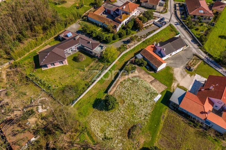 Terreno para Venda em Souto da Carpalhosa e Ortigosa Foto 5