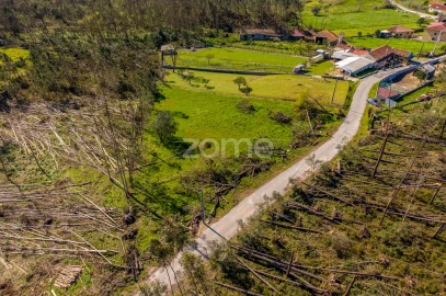 Terreno para Venda em Souto da Carpalhosa e Ortigosa