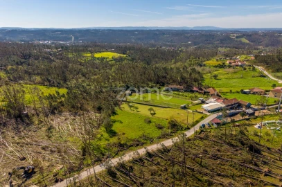 Terreno para Venda em Souto da Carpalhosa e Ortigosa