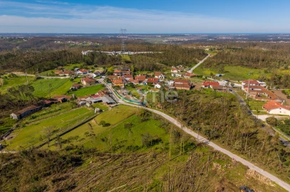 Terreno para Venda em Souto da Carpalhosa e Ortigosa