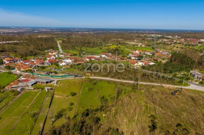 Terreno para Venda em Souto da Carpalhosa e Ortigosa