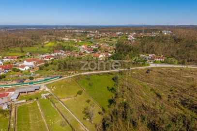 Terreno para Venda em Souto da Carpalhosa e Ortigosa