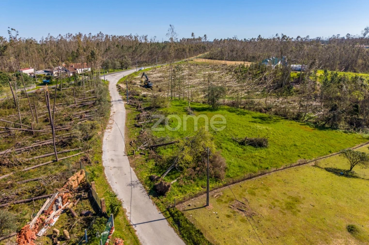 Terreno para Venda em Souto da Carpalhosa e Ortigosa Foto 13