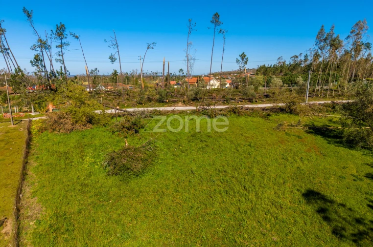 Terreno para Venda em Souto da Carpalhosa e Ortigosa Foto 19