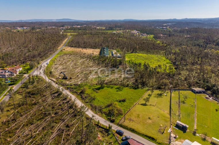 Terreno para Venda em Souto da Carpalhosa e Ortigosa Foto 8