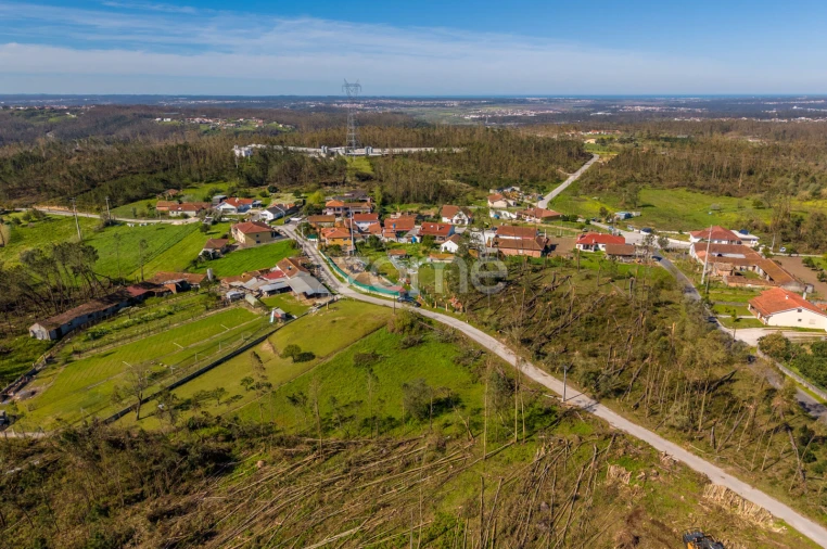 Terreno para Venda em Souto da Carpalhosa e Ortigosa Foto 6