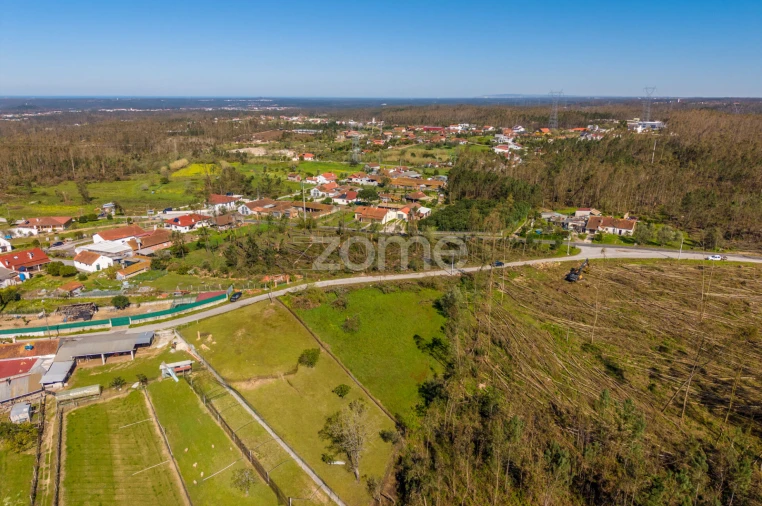 Terreno para Venda em Souto da Carpalhosa e Ortigosa Foto 4