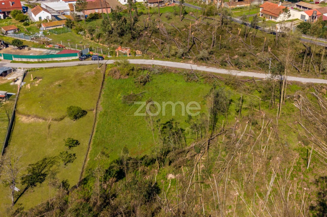 Terreno para Venda em Souto da Carpalhosa e Ortigosa Foto 17