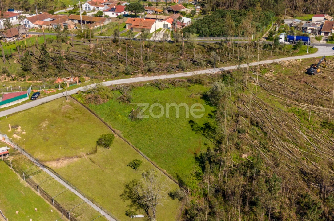 Terreno para Venda em Souto da Carpalhosa e Ortigosa Foto 18