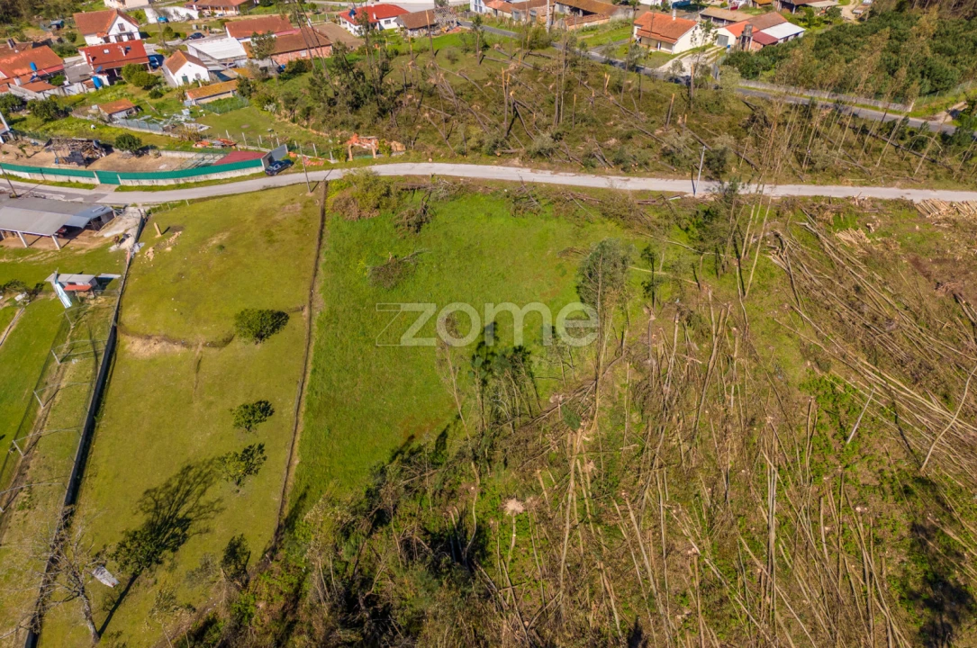 Terreno para Venda em Souto da Carpalhosa e Ortigosa Foto 16