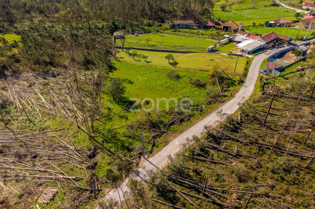 Terreno para Venda em Souto da Carpalhosa e Ortigosa Foto 15