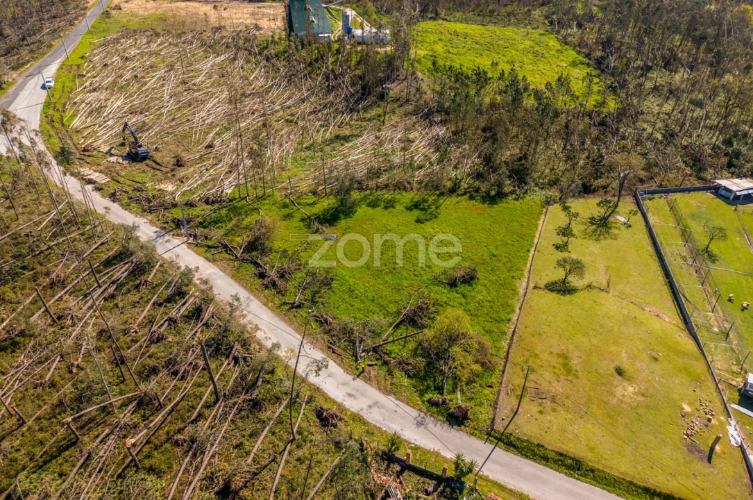 Terreno para Venda em Souto da Carpalhosa e Ortigosa Foto 1