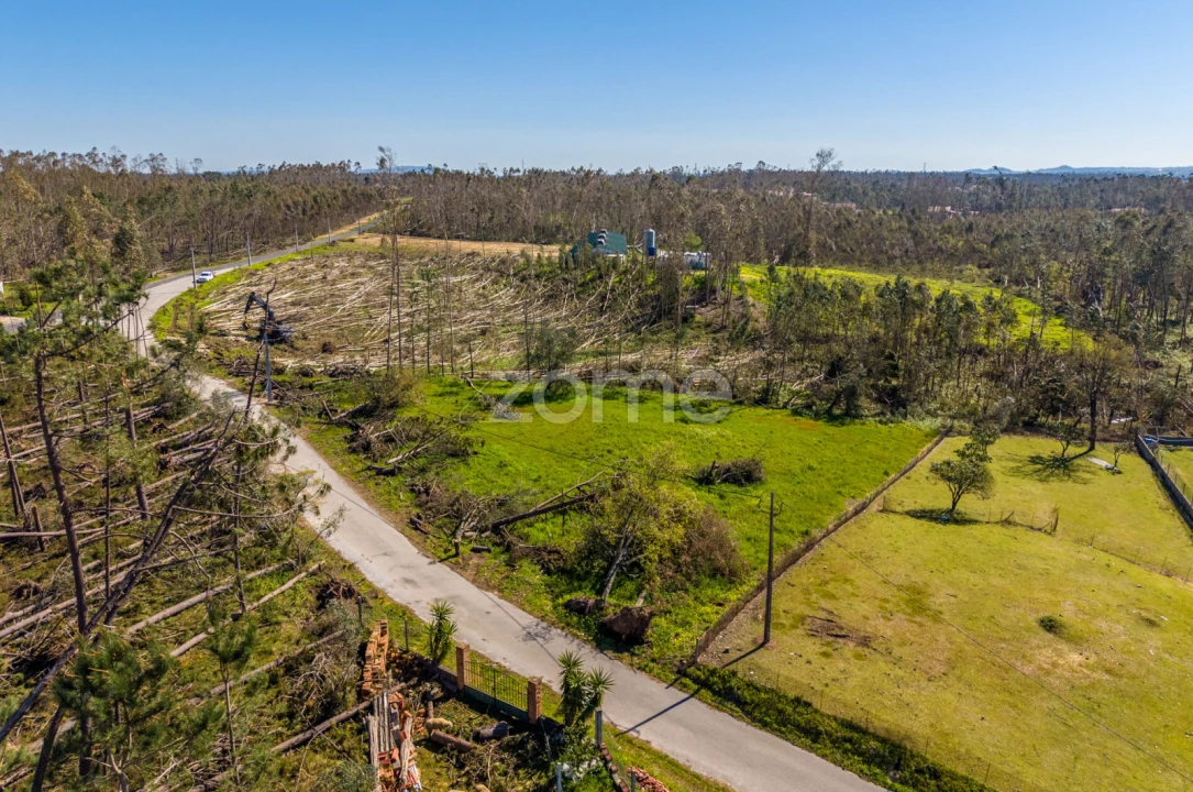 Terreno para Venda em Souto da Carpalhosa e Ortigosa Foto 7