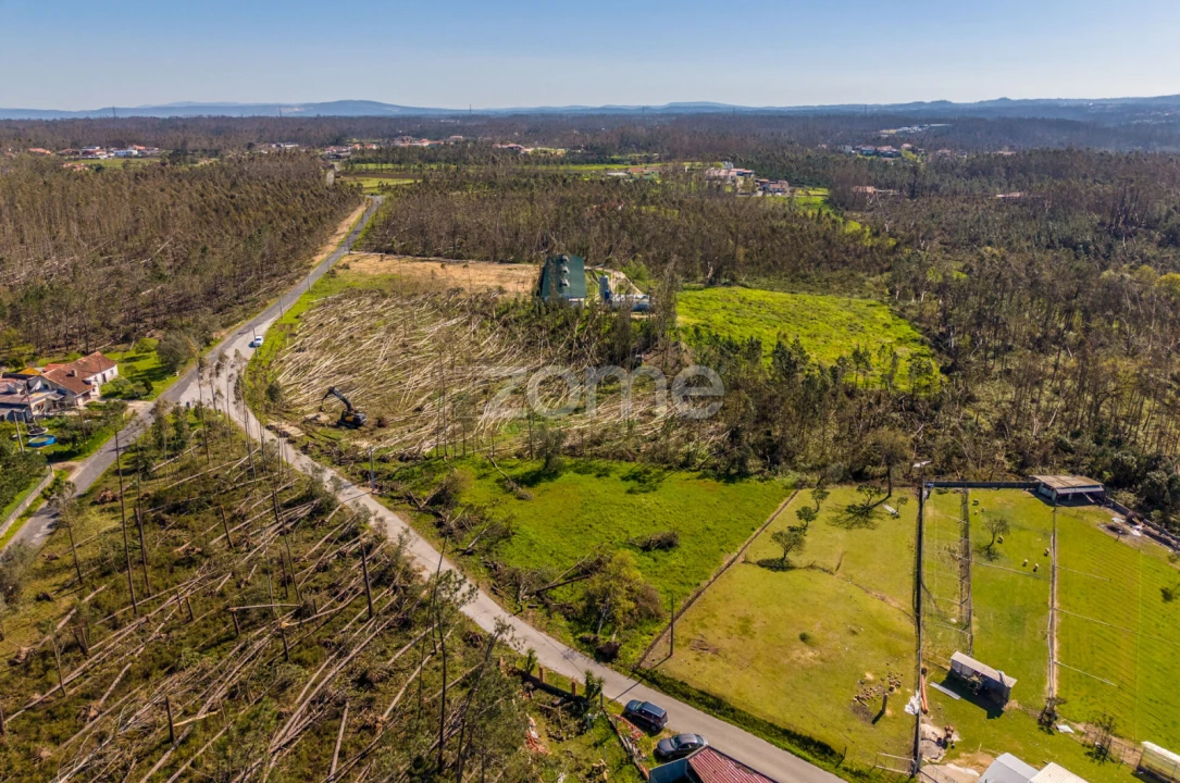 Terreno para Venda em Souto da Carpalhosa e Ortigosa Foto 8