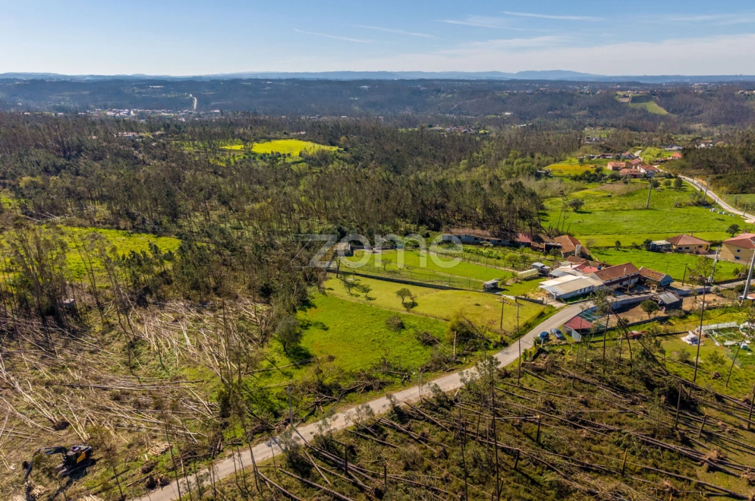 Terreno para Venda em Souto da Carpalhosa e Ortigosa Foto 11